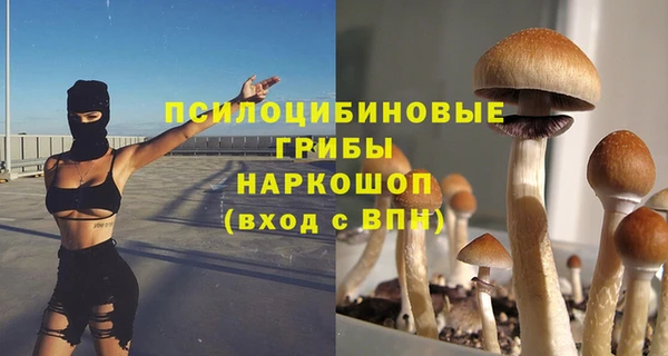 шишки Богданович