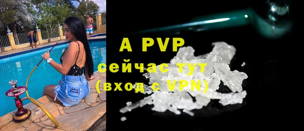 шишки Богданович