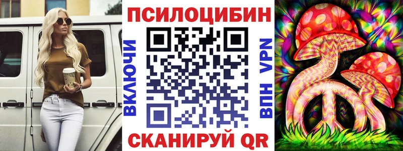 Псилоцибиновые грибы Cubensis  Тотьма 