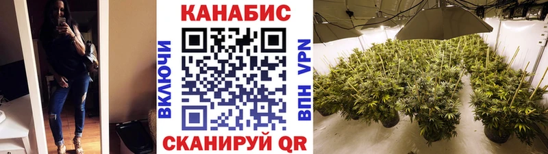 Шишки марихуана план  сколько стоит  Тотьма 